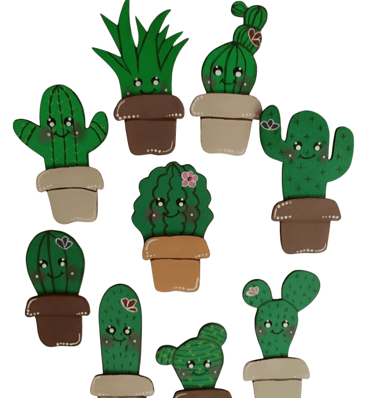 coleccion cactus