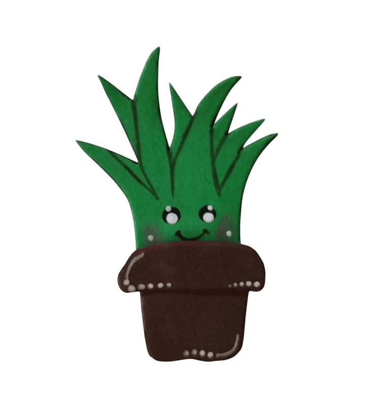 iman coleccion cactus