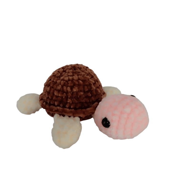 tortuga pequeña
