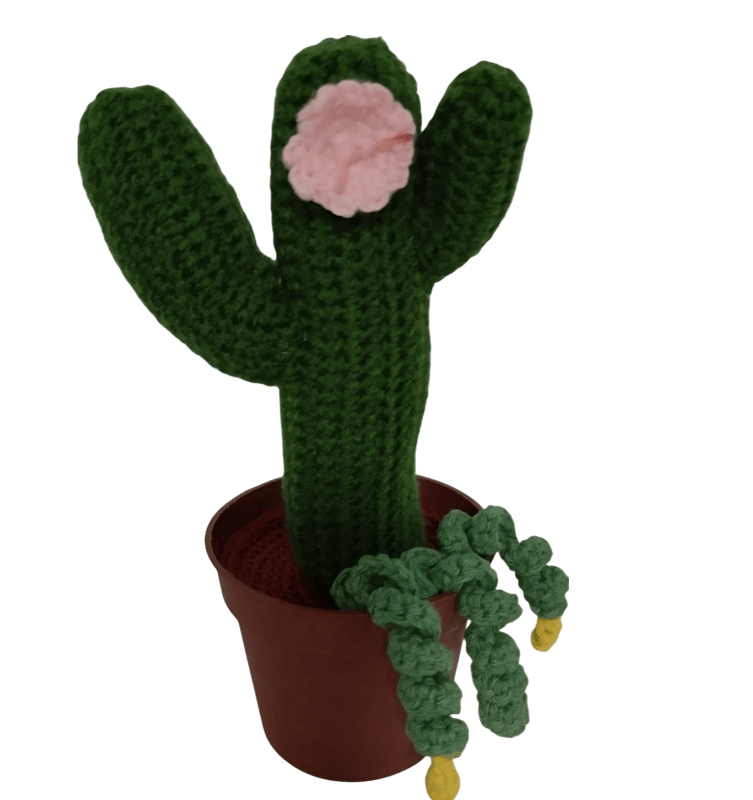 Cactus Mediano