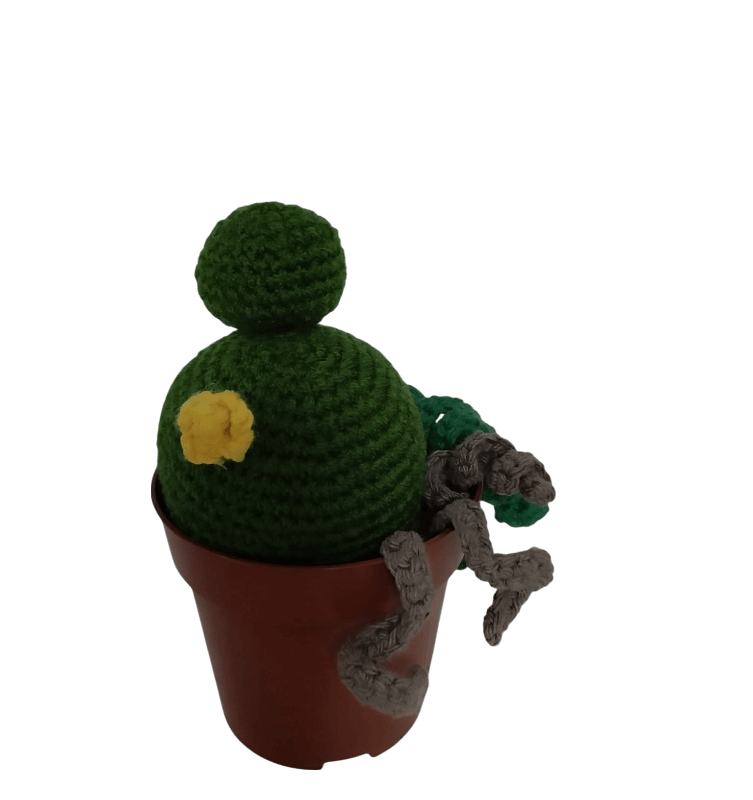 Cactus Mediano