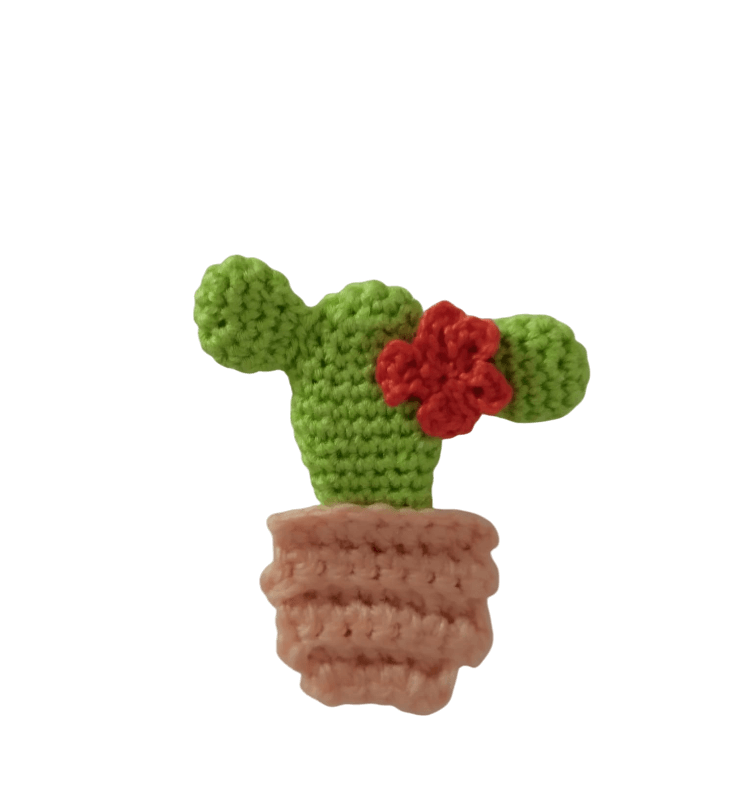 iman cactus